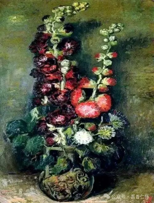 『仁怀物种』如今正是蜀葵时(图5) 『仁怀物种』如今正是蜀葵时(图5)