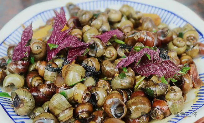 『仁怀物种』未妨无暑药,熟水紫苏香(图3) 『仁怀物种』未妨无暑药,熟水紫苏香(图3)