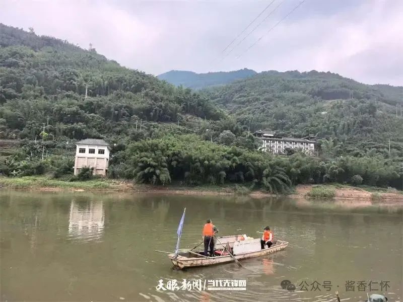 呼唤长江鲟归来！从野外灭绝到赤水河野外自然产卵孵化何以实现重生？(图3)