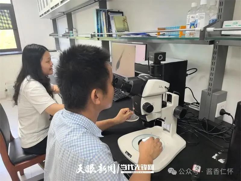 呼唤长江鲟归来！从野外灭绝到赤水河野外自然产卵孵化何以实现重生？(图5)