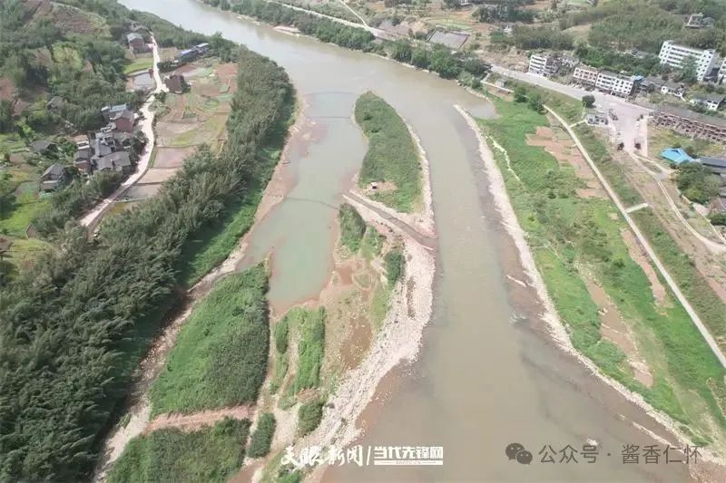 呼唤长江鲟归来！从野外灭绝到赤水河野外自然产卵孵化何以实现重生？(图6)