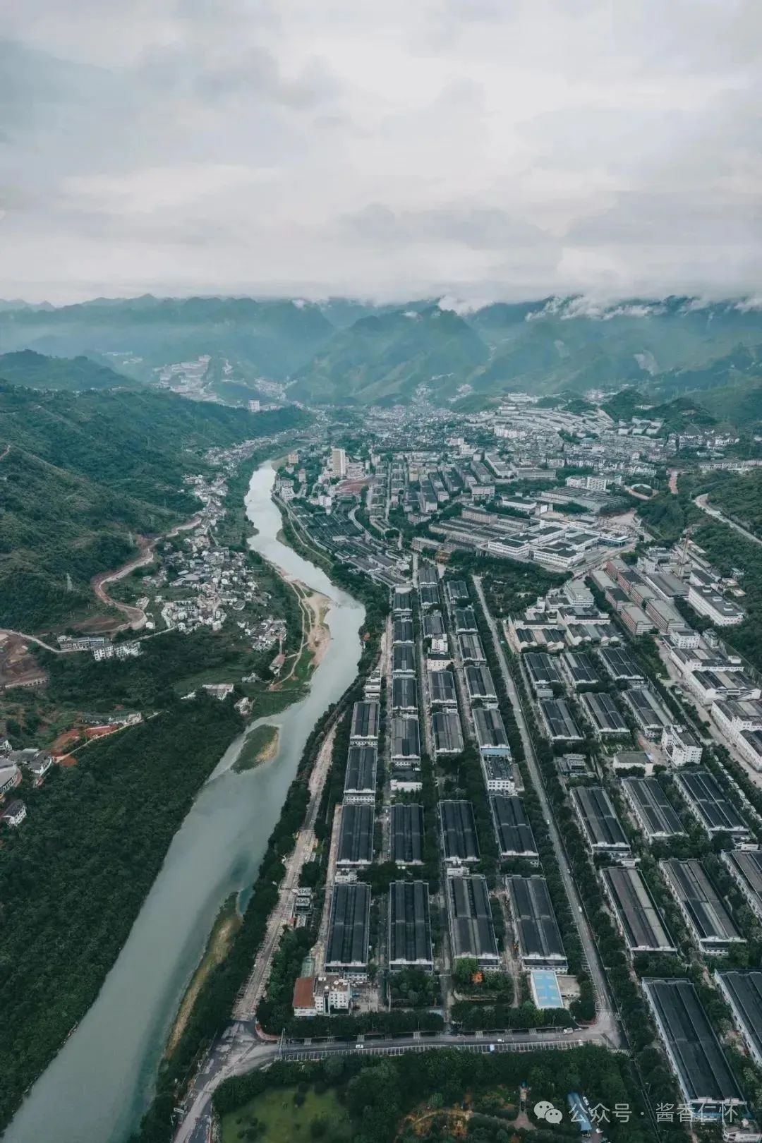 当一条鱼第二次游回赤水河(图1)