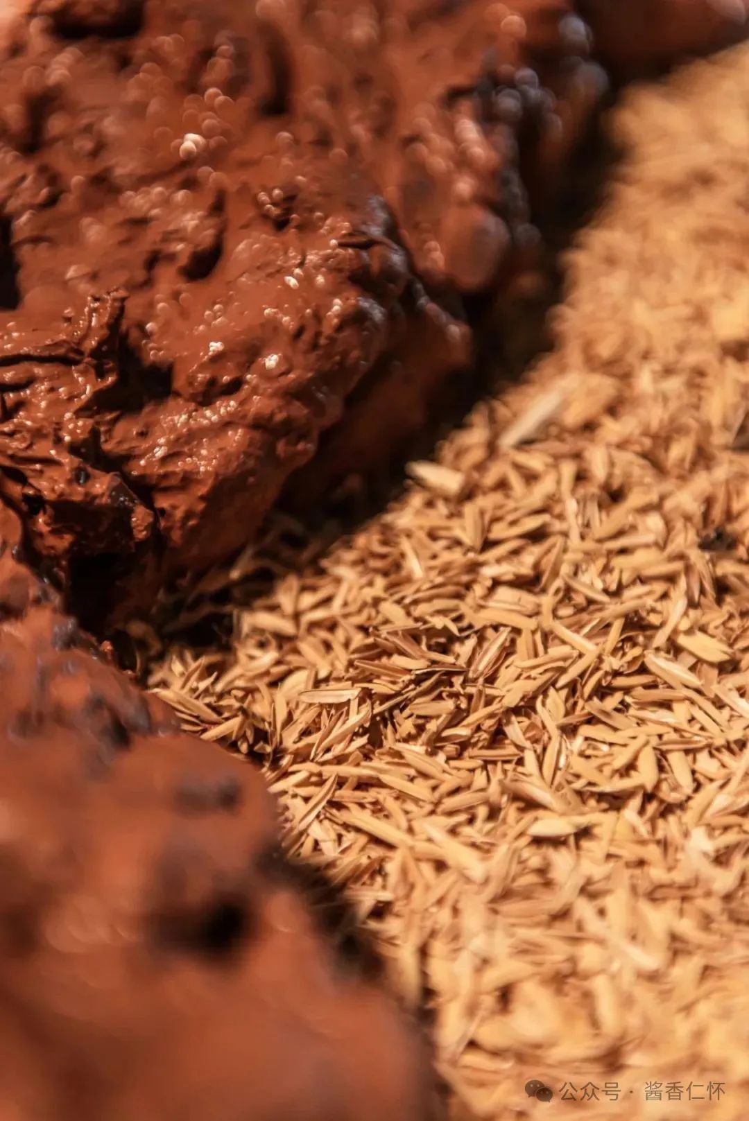 当一条鱼第二次游回赤水河(图7)