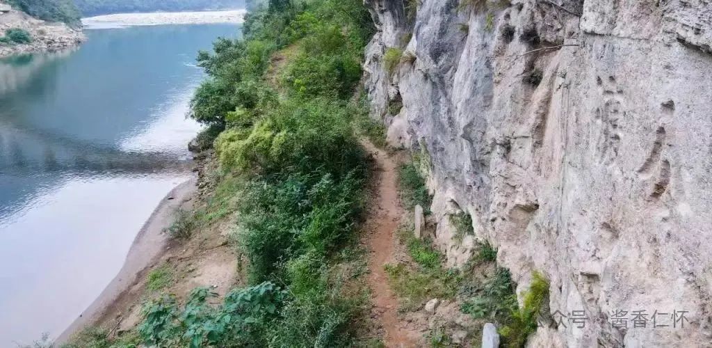 文史中的仁怀高粱(图3)