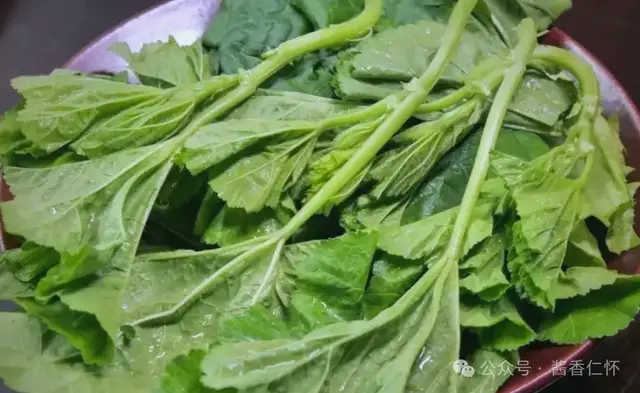 『仁怀物种』冬寒菜:从《诗经》走来的“百菜之王”(图3) 『仁怀物种』冬寒菜:从《诗经》走来的“百菜之王”(图3)