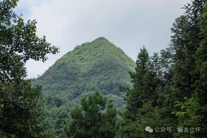 【寻仁迹】学孔大山寨今昔(图1)