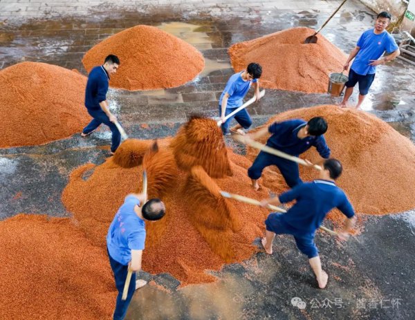 仁怀：打好“引育用留”组合拳 激活“人才引擎”动能