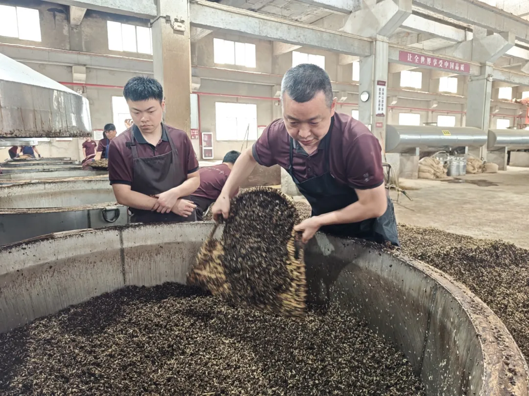 仁怀“师带徒”模式 培育上万名白酒人才(图1)